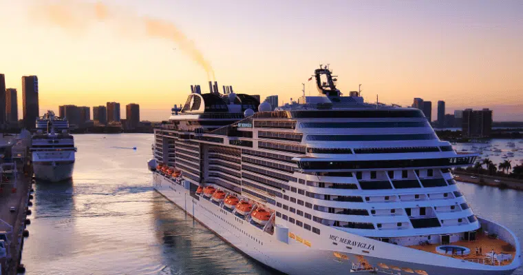 A cruise ship docked in a waterway